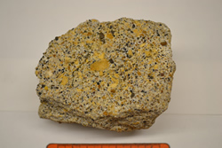 Lithic Sandstone