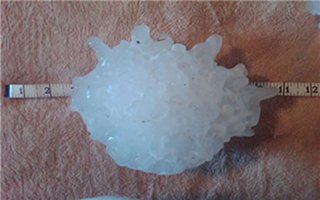 World's Largest Hailstone