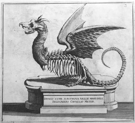 Cornelius Meyer's Dragon