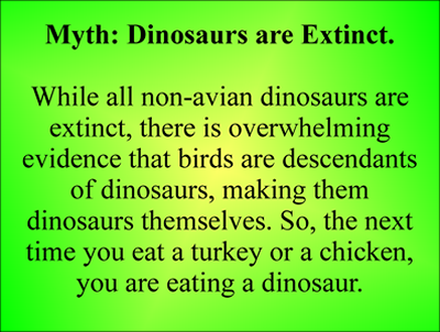 Geology Fact about Birds and Dinos