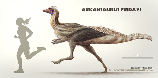 Arkansaurus Drawing Reconstruction