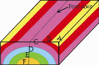 Anticline