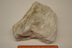 Rock Gypsum