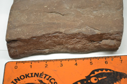 Siltstone