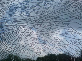 Shattered Glass