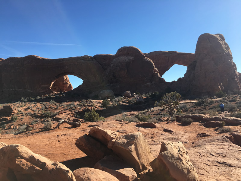 Window Arch