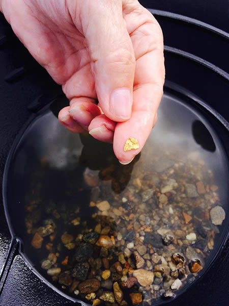 Gold Panning