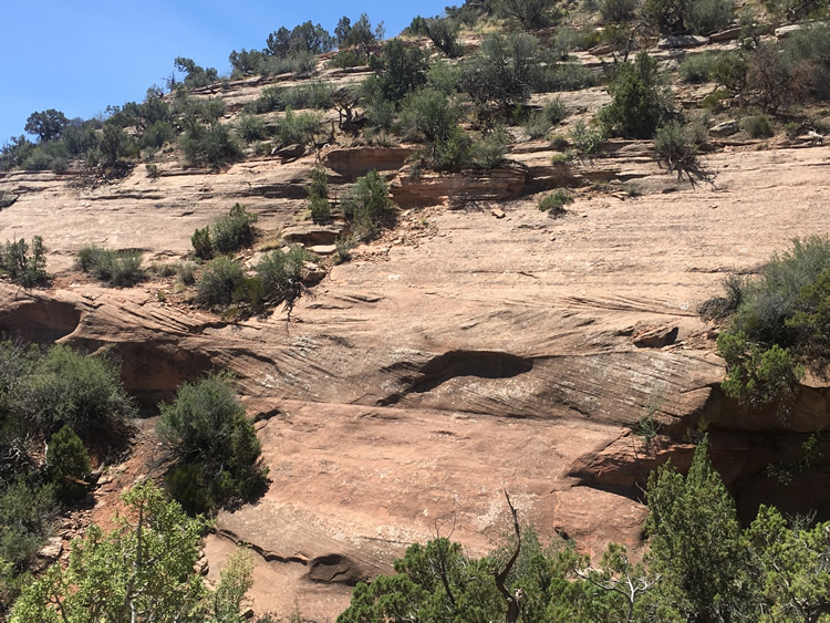 Dinojim.com - Geology Across America