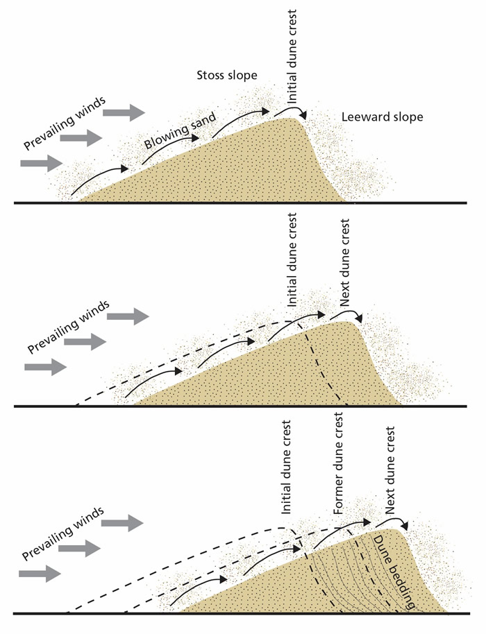 Sadn Dune Movement